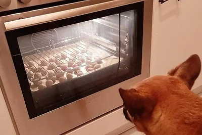 Ferienwohnung Plaggenburg: Das Familienreich