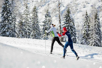 Vakantiehuis Ontspannende vakantie Pertisau