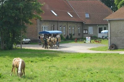 Vakantieappartement Gezinsvakantie Lübz
