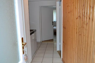 Grauer Esel E2