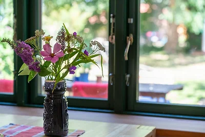 Vakantieappartement Gezinsvakantie Reimershagen
