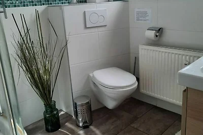 1-Raum FeWo 7, EG, 35m², Terrasse süd/west