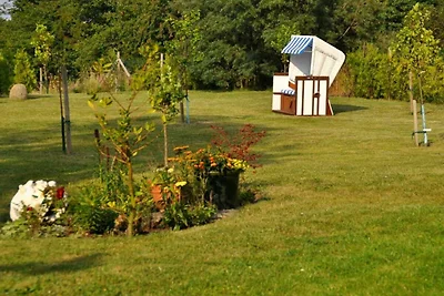 Vakantieappartement Gezinsvakantie Lohme