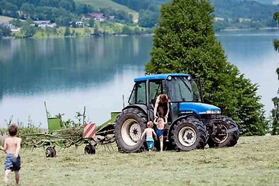 Appartamento Vacanza con famiglia Eisenberg