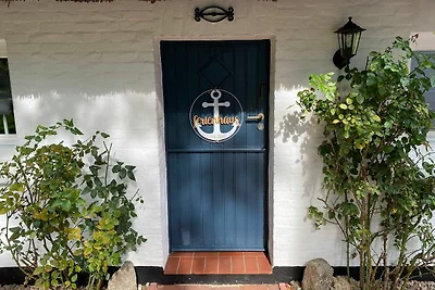 Vakantiehuis Ontspannende vakantie Wischhafen