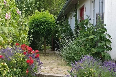Vakantieappartement Gezinsvakantie Kalkhorst
