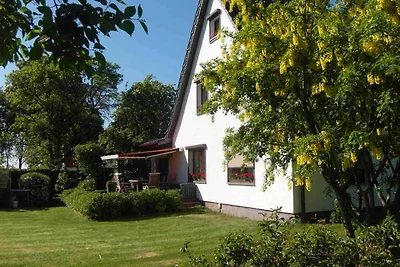 Holiday flat family holiday Bergen auf Rügen