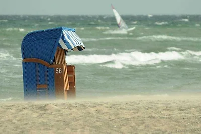 Ferienhaus Friesische Brise
