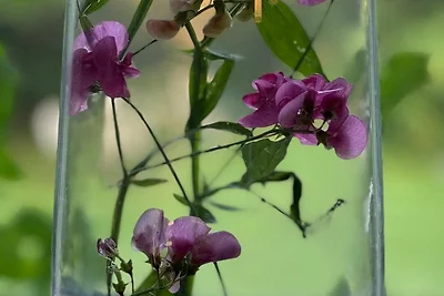 Appartamento Vacanza con famiglia St. Peter-Ording