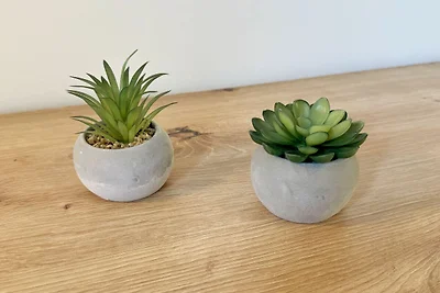 Bungalow 02 Fantasie mit Terrasse