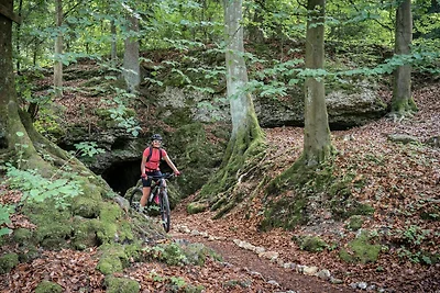 Vakantiehuis Ontspannende vakantie Mistelgau