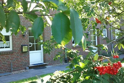 Ferienhaus Nemo