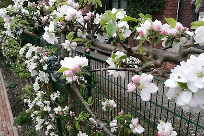 Reinhardt Apartment mit Balkon