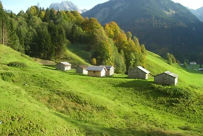 Holiday flat family holiday Au in Vorarlberg