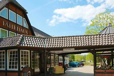 Hotel cultural and sightseeing holiday Bad Bevensen