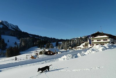 Vakantieappartement Gezinsvakantie Jungholz