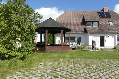 Möwennest