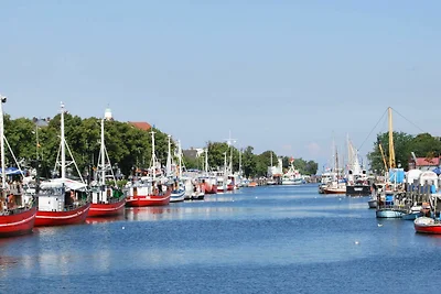 Naturidyll auf Rügen