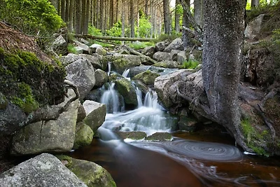 Deluxe Apartment Harmonie