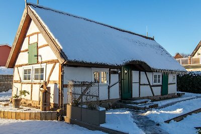 Ferienhaus Ole Koot