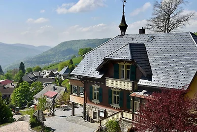 Albergo Cultura ed escursioni Todtnau