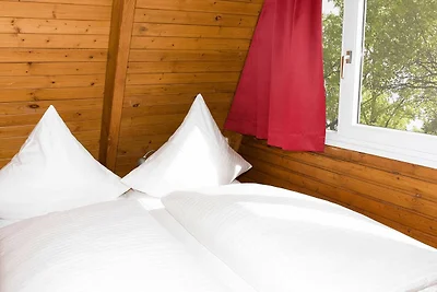 Albergo Cultura ed escursioni Damp