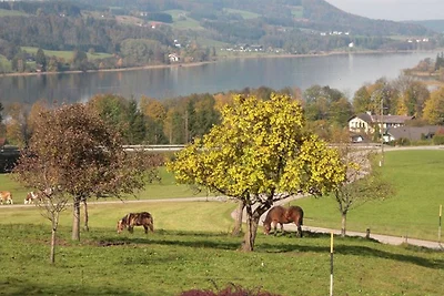 Ferienwohnung Seeblick 1. Stock