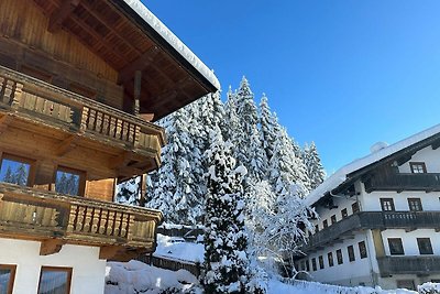 Vakantieappartement Gezinsvakantie Wildschönau