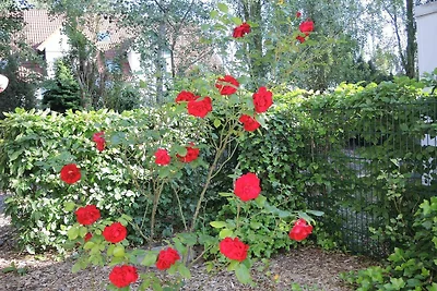 DZ 32 Max mit Balkon