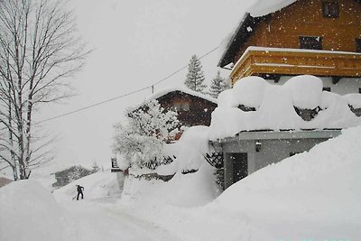 Vakantieappartement Gezinsvakantie Steinberg am Rofan