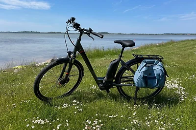 Doppelhaushälfte Drossel