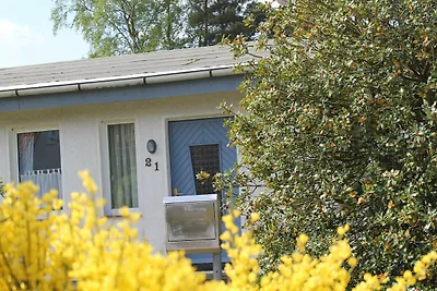 Ferienhaus mit Kamin und Terrasse 5 Pers.