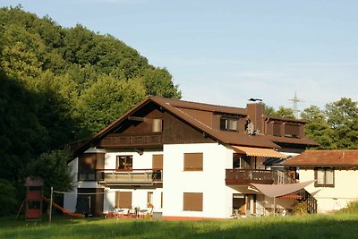 Vakantieappartement Gezinsvakantie Mossautal