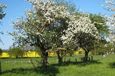 Casa vacanze Vacanza di relax Schönbeck
