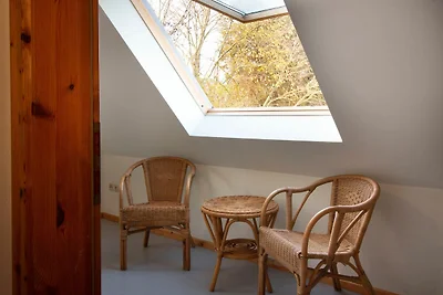 Albergo Cultura ed escursioni Neuenkirchen