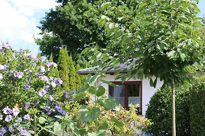 Bungalow Carpe diem