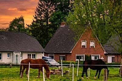 Ferienwohnung Het lüttje Huus, 95177