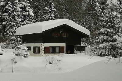 Vakantiehuis Ontspannende vakantie Schwarzenberg