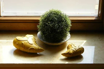 Appartement Künsebeck