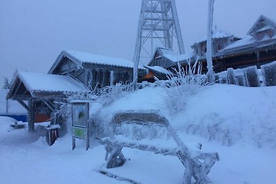 Vakantieappartement Gezinsvakantie Hahnenklee