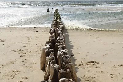 Puschmann Wenningstedt