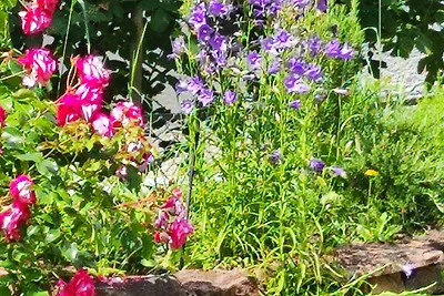 Georgs Ferienwohnung