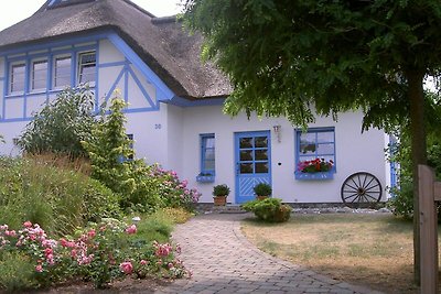 Ferienhaus Diekelmann