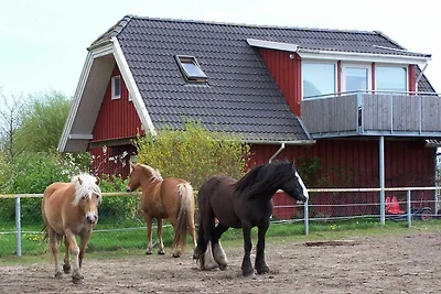 Ferienwohnung