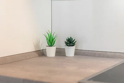 apartman za odmor Obiteljski odmor Nienhagen