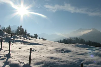 Fliegenpilz (2-6 Pers.)