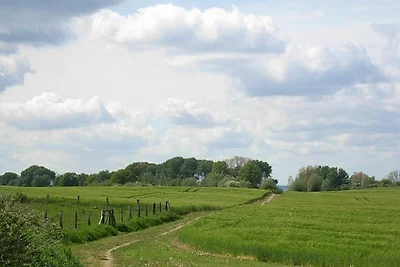 Whg. Bremen, Gross Schwansee