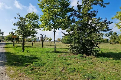 Heringsdorf - Wohnung Möwe