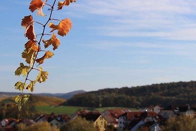 Vakantieappartement Gezinsvakantie Lehrensteinsfeld