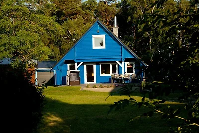 Casa vacanze Vacanza di relax Saal in Vorpommern